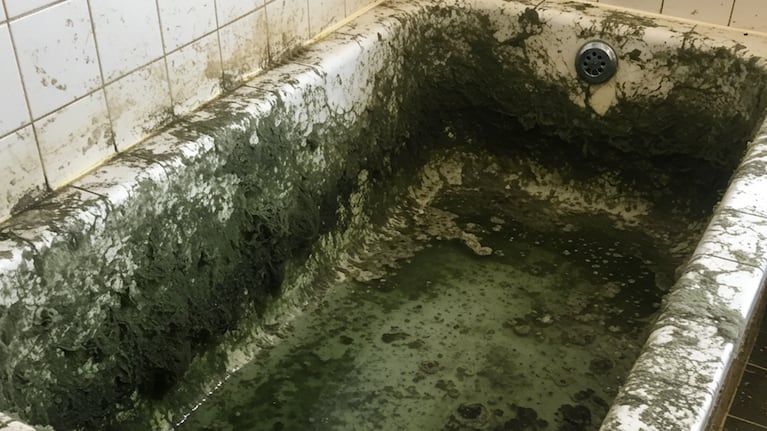 Adiós al moho en el baño: el truco casero para eliminarlo. (Foto Gemini)