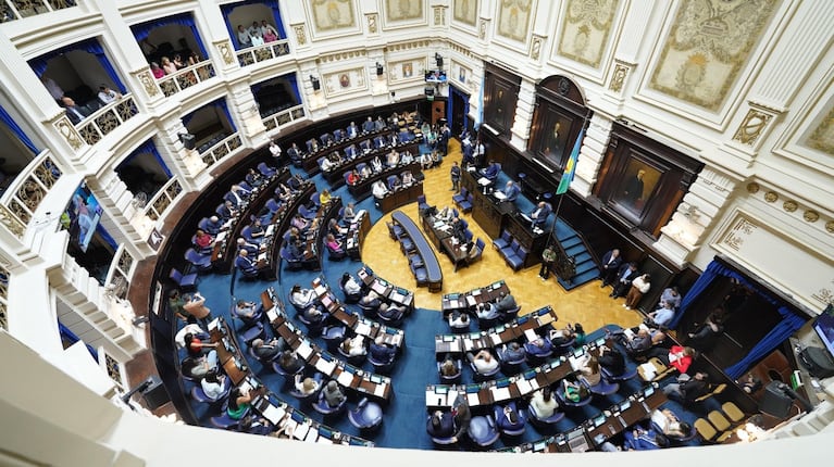 Alexis Guerrera convocaría a sesión de la Cámara de Diputados para el miércoles 23 de abril, para tratar la suspensión de las PASO (Foto: Captura de X/@AlexisGuerrera).