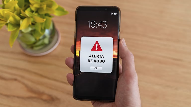 Cuáles son las recomendaciones para evitar que los ciberdelincuentes puedan acceder a tus datos. (Foto: Adobe Stock)