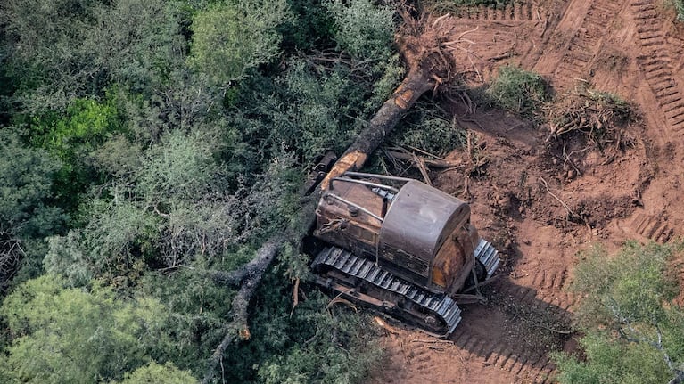 En un fallo inédito, un fiscal pidió la detención de un empresario forestal acusado de realizar desmontar ilegales en Chaco. (Foto: EFE/Martín Katz/Greenpeace).
