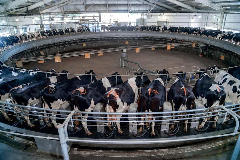 La inversión en tecnificación impulsa la modernización de los tambos y mejora la competitividad del sector, destacaron desde Agricultura. (Foto: SAGyP).