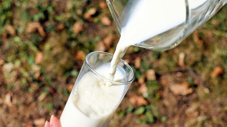 La leche es fundamental en distintas dietas. (Foto: Pixabay)