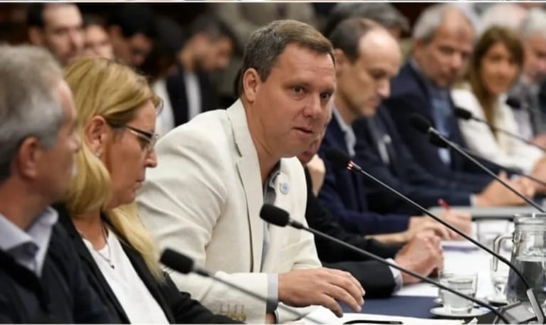 Pablo Ginestet, secretario de CARBAP y dirigente de CRA, expuso la situación del campo en el Congreso. (Foto: X Pablo Ginestet).