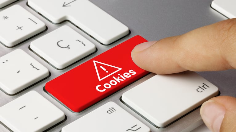 ¿Qué tan inofensivas son las cookies que aceptamos al navegar por internet? (Foto: AdobeStock)