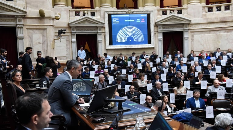 Tras una larga discusión por Libra, Diputados debate el aumento en las jubilaciones y la emergencia por discapacidad. (Foto: Diputados)